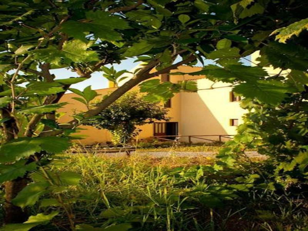 Il Giardino Di Julia B&B 토르토라 외부 사진