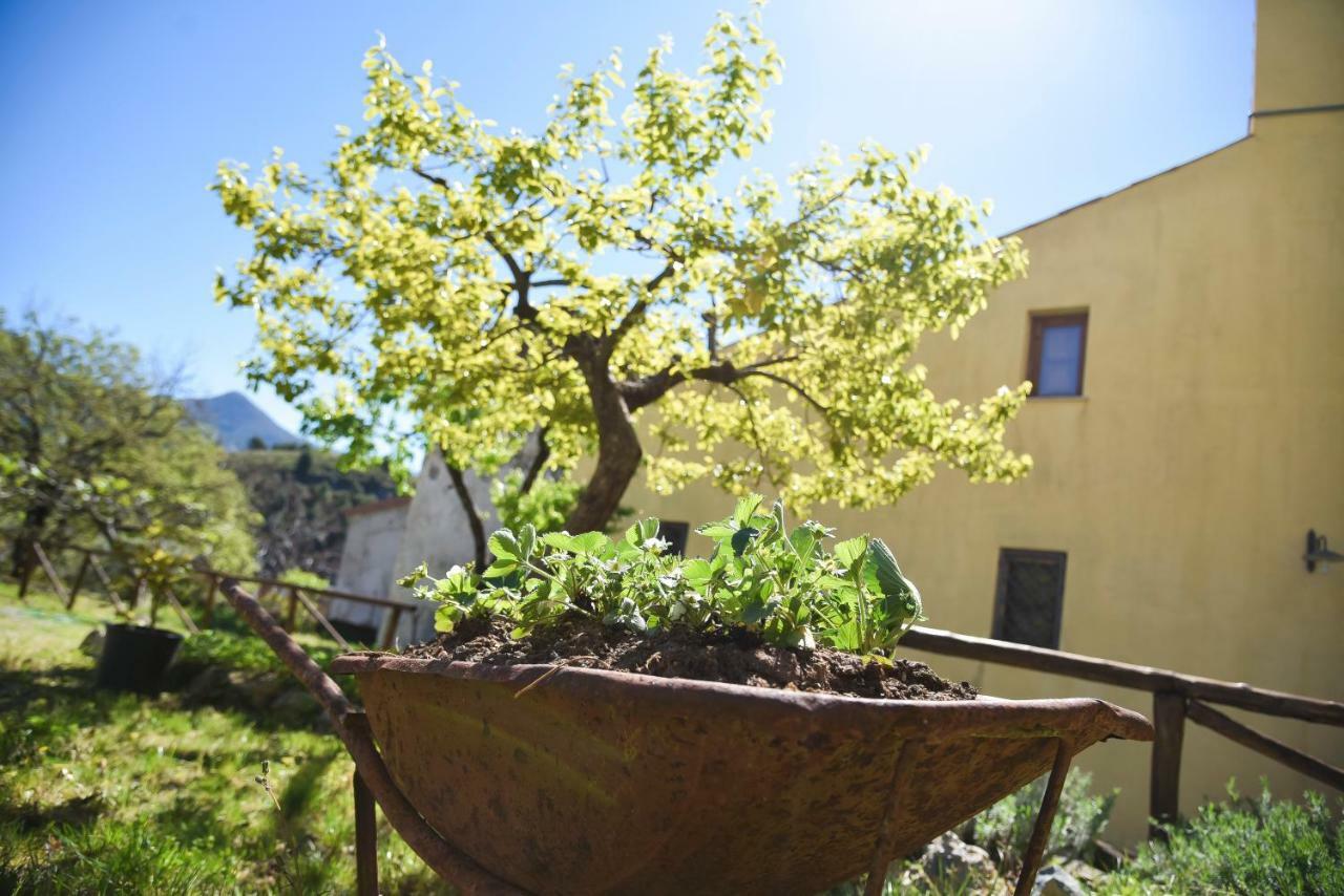 Il Giardino Di Julia B&B 토르토라 외부 사진